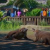 Planet Zoo: Ultimate Edition US Xbox Series X|S CD Key