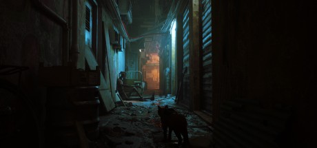 Stray UK XBOX One / Xbox Series X|S / Windows 10 CD Key Stray UK XBOX One / Xbox Series X|S / Windows 10 CD Key