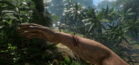 Green Hell LATAM Steam CD Key