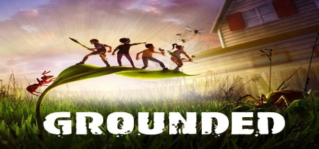 Grounded CA XBOX One / Xbox Series X|S / PC CD Key
