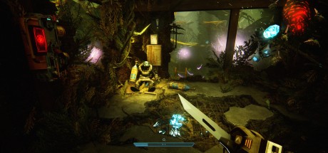 Forever Skies EU PC Steam CD Key