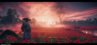 Ghost of Tsushima Director's Cut EU PC Steam CD Key