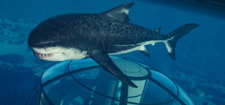 Jurassic World Evolution 2 - Park Managers' Collection Pack DLC PC Steam CD Key