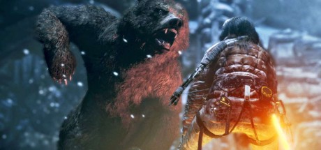 Rise of the Tomb Raider Season Pass Steam CD Key