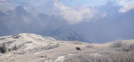 theHunter: Call of the Wild - Sundarpatan Nepal Hunting Reserve DLC PC Steam CD Key