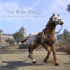 The Elder Scrolls Online - Sungold Bay Thoroughbred Mount DLC PC Digital Download CD Key