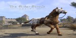 The Elder Scrolls Online - Sungold Bay Thoroughbred Mount DLC PC Digital Download CD Key