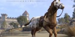The Elder Scrolls Online - Sungold Bay Thoroughbred Mount DLC PC Digital Download CD Key