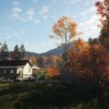 theHunter: Call of the Wild - New England Mountains DLC PC Steam CD Key