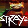 Stray ASIA PC Steam CD Key