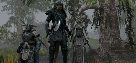 The Elder Scrolls Online -  Explorer's Pack DLC XBOX One / Xbox Series X|S CD Key