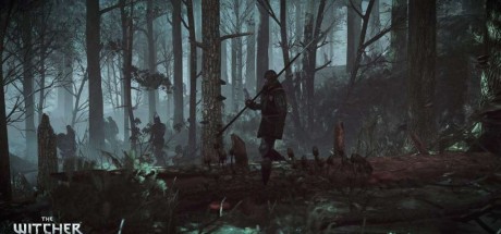 The Witcher 3: Wild Hunt - Hearts of Stone DLC US Nintendo Switch CD Key