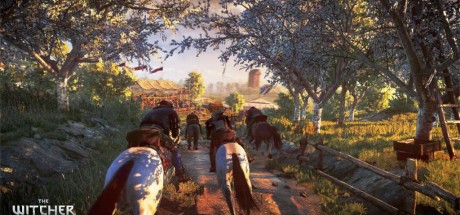 The Witcher 3: Wild Hunt - Hearts of Stone DLC US Nintendo Switch CD Key