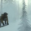 Rise of the Tomb Raider - Endurance Mode DLC Steam CD Key