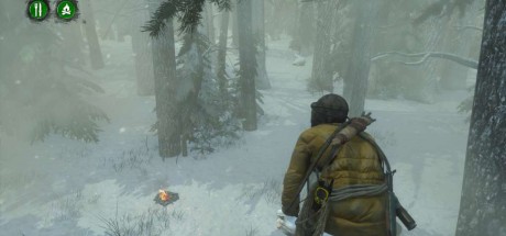 Rise of the Tomb Raider - Endurance Mode DLC Steam CD Key