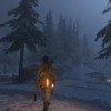 Rise of the Tomb Raider - Endurance Mode DLC Steam CD Key