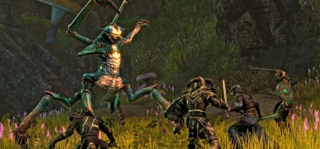 The Elder Scrolls Online -  Explorer's Pack DLC EU PS4 CD Key