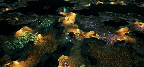 Empires of the Undergrowth EU PC Steam CD Key