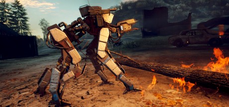 Generation Zero - Companion Accessories Pack DLC EU PC Steam CD Key