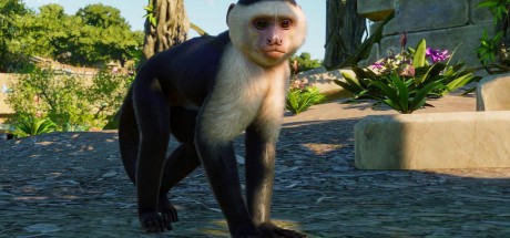 Planet Zoo - South America Pack DLC EU PC Steam CD Key