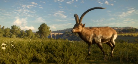 theHunter: Call of the Wild - Cuatro Colinas Game Reserve DLC EU PC Steam CD Key