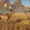 theHunter: Call of the Wild - Tents & Ground Blinds DLC EU PC Steam CD Key