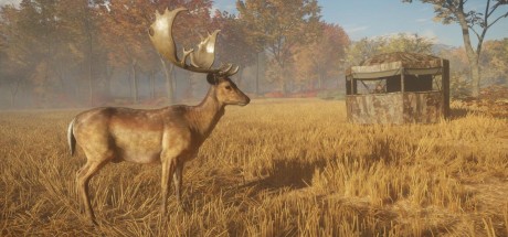 theHunter: Call of the Wild - Tents & Ground Blinds DLC EU PC Steam CD Key