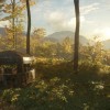 theHunter: Call of the Wild - Tents & Ground Blinds DLC EU PC Steam CD Key