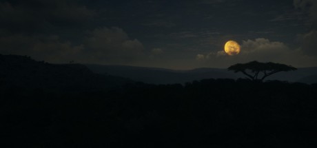 theHunter: Call of the Wild - Vurhonga Savanna DLC EU PC Steam CD Key