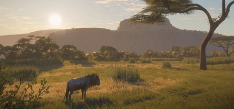 theHunter: Call of the Wild - Vurhonga Savanna DLC EU PC Steam CD Key