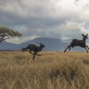 theHunter: Call of the Wild - Vurhonga Savanna DLC EU PC Steam CD Key