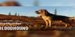 theHunter: Call of the Wild - Bloodhound DLC EU PC Steam CD Key