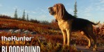 theHunter: Call of the Wild - Bloodhound DLC EU PC Steam CD Key