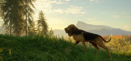 theHunter: Call of the Wild - Bloodhound DLC EU PC Steam CD Key