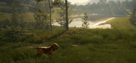 theHunter: Call of the Wild - Bloodhound DLC EU PC Steam CD Key