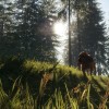 theHunter: Call of the Wild - Bloodhound DLC EU PC Steam CD Key