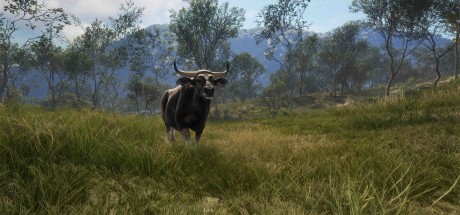 theHunter: Call of the Wild - Emerald Coast Australia DLC EU PC Steam CD Key