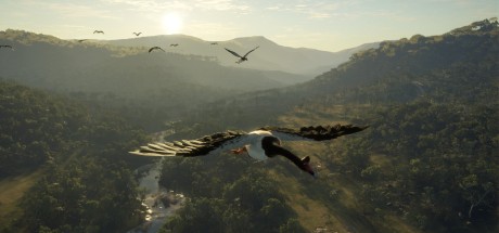 theHunter: Call of the Wild - Emerald Coast Australia DLC EU PC Steam CD Key