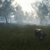 theHunter: Call of the Wild - Te Awaroa National Park DLC EU PC Steam CD Key