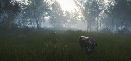 theHunter: Call of the Wild - Te Awaroa National Park DLC EU PC Steam CD Key
