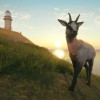theHunter: Call of the Wild - Te Awaroa National Park DLC EU PC Steam CD Key