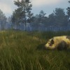 theHunter: Call of the Wild - Te Awaroa National Park DLC EU PC Steam CD Key