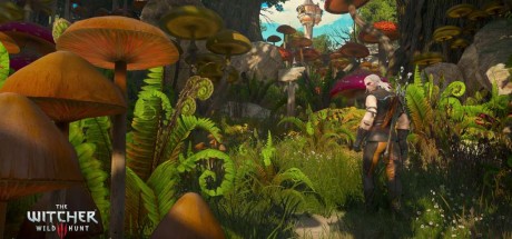 The Witcher 3: Wild Hunt - Blood and Wine DLC PC GOG CD Key