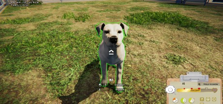 Animal Shelter EU PC Steam CD Key