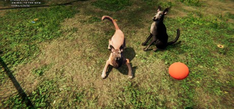 Animal Shelter EU PC Steam CD Key