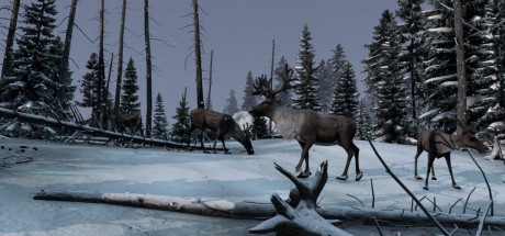 DayZ + Frostline DLC Bundle PC Steam CD Key DayZ + Frostline DLC Bundle PC Steam CD Key