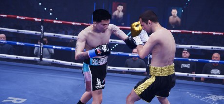 Undisputed - Deluxe WBC Upgrade Pack DLC EU (without DE) PS5 CD Key