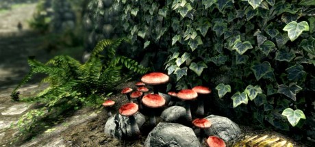 The Elder Scrolls V: Skyrim Special Edition Upgrade DLC PC Steam CD Key