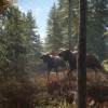 theHunter: Call of the Wild - Hunting Starter Pack Bundle PC Steam CD Key