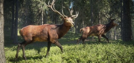 theHunter: Call of the Wild - Hunting Starter Pack Bundle PC Steam CD Key